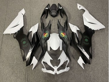 Happy Face 2019-2023 Kawasaki ZX6R Motorcycle Fairing