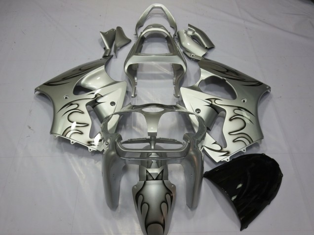 Silver Flame 2000-2002 Kawasaki ZX6R Motorcycle Fairing